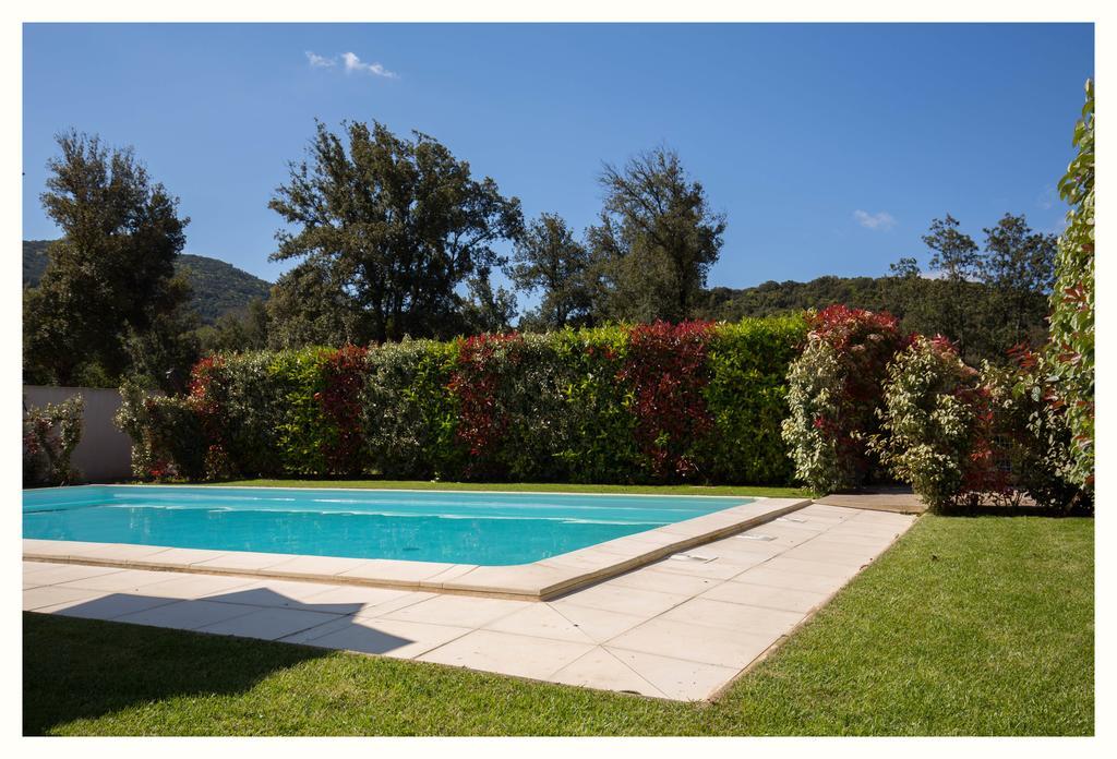 Maison Alex Tolla 4 étoiles Cauro Exterior foto
